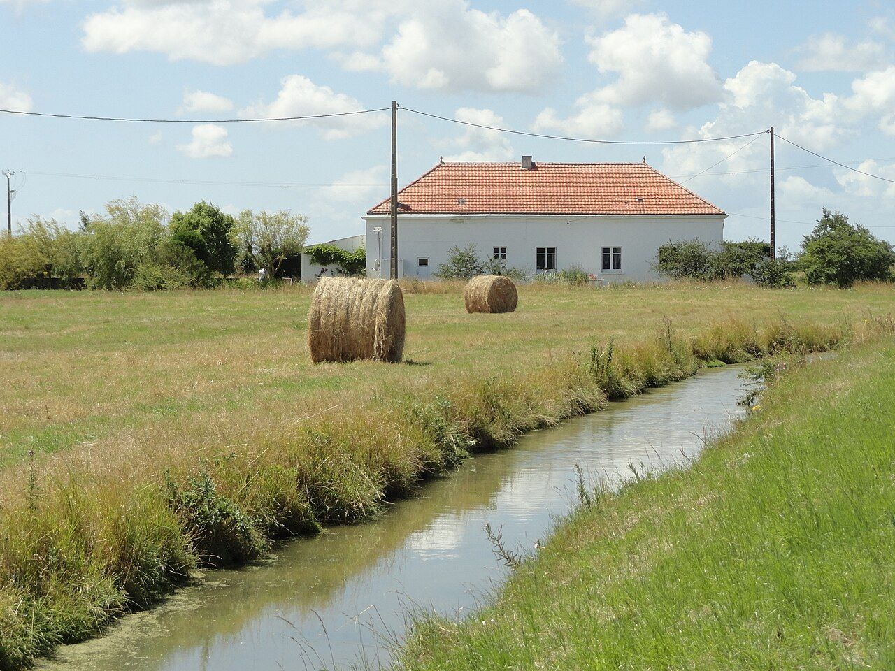 Photo 2 — Bouin, Vendée (85230)