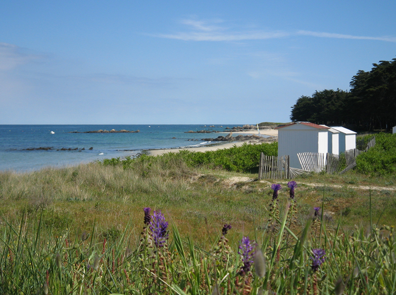 L'Île-d'Yeu