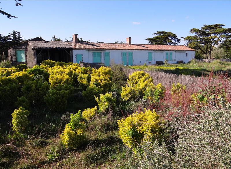 Saint-Vincent-sur-Jard