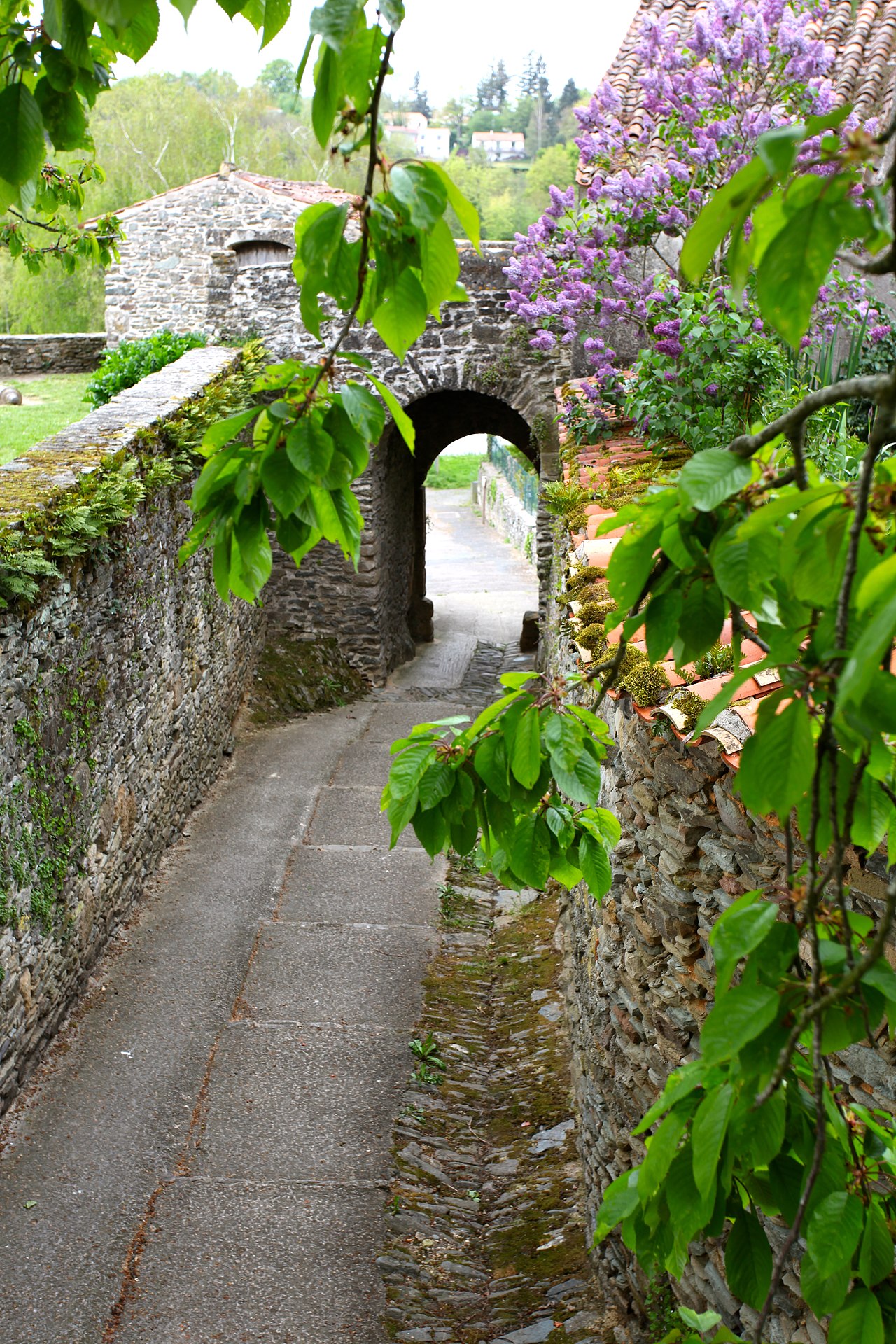 Photo 6 — Vouvant, Vendée (85120)