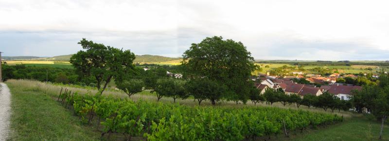 La Neuveville-sous-Montfort