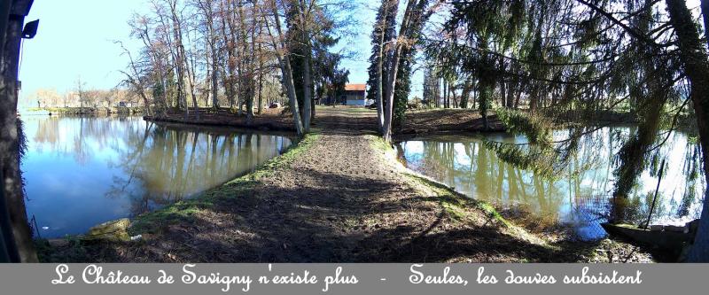 Savigny