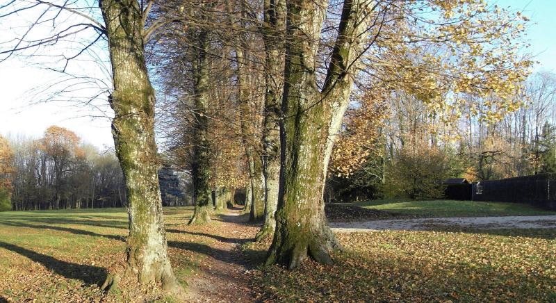 Beaucourt