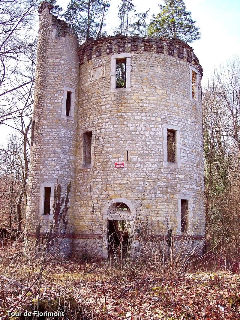Photo 4 — Florimont, Territoire de Belfort (90100)