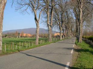Photo 2 — Petitefontaine, Territoire de Belfort (90360)