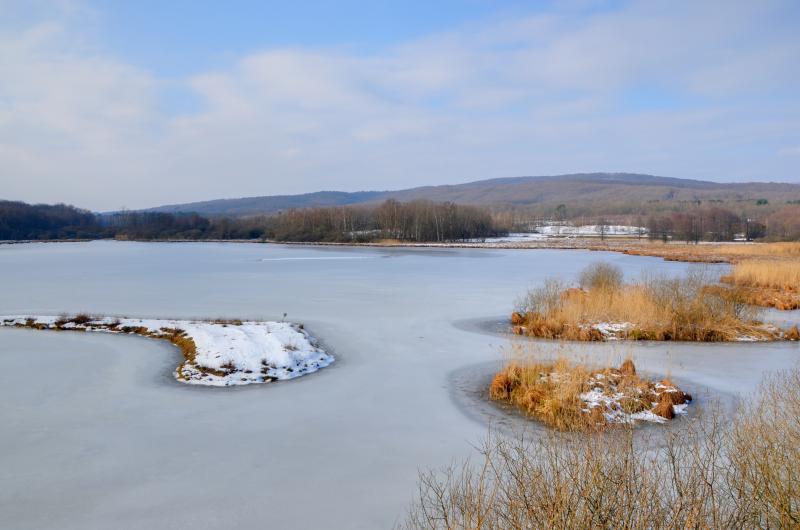 Sermamagny