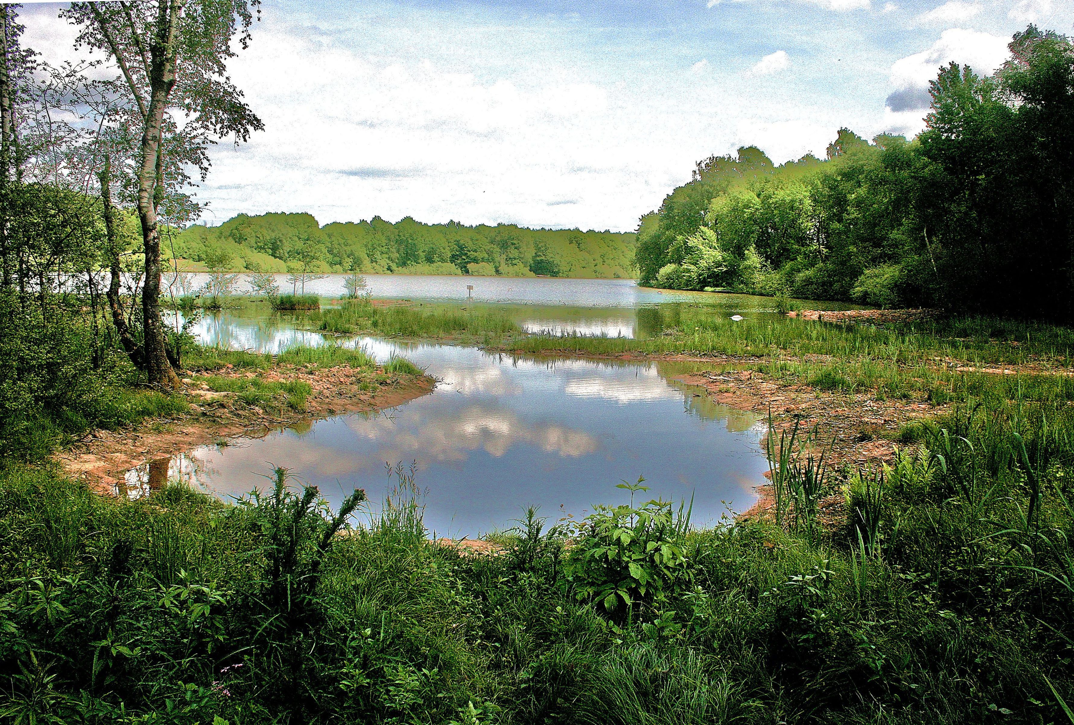 Photo 3 — Sermamagny, Territoire de Belfort (90300)