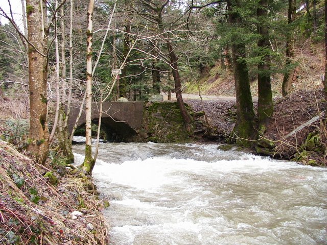 Vescemont