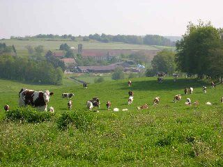Photo 4 — Villars-le-Sec, Territoire de Belfort (90100)