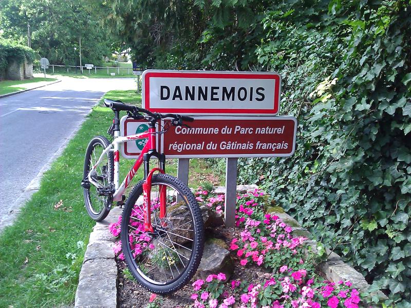 Dannemois