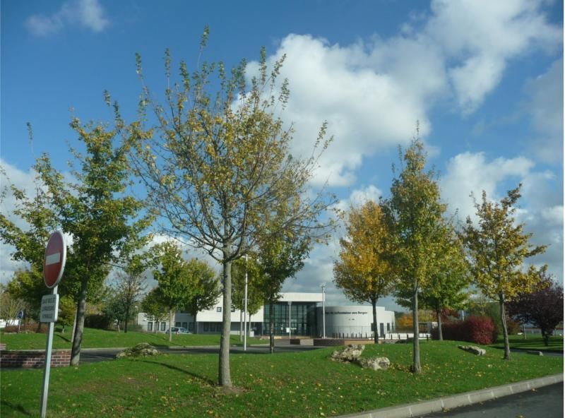 Photo 4 — Ollainville, Essonne (91340)