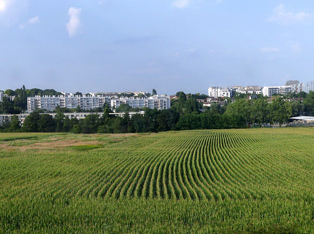 Photo 3 — Wissous, Essonne (91320)