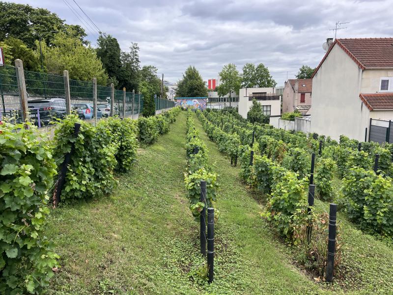Bagneux