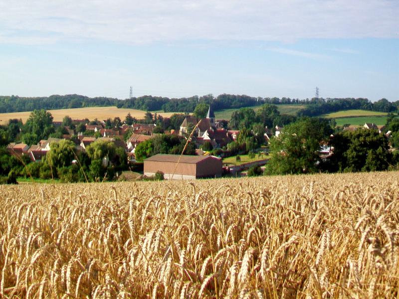 Longuesse