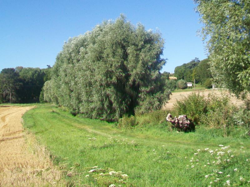 Magny-en-Vexin
