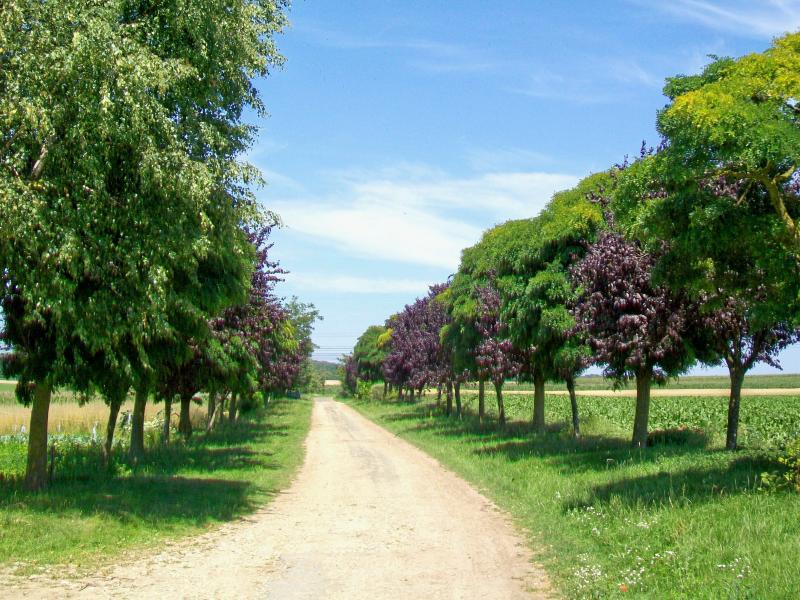 Villiers-le-Sec