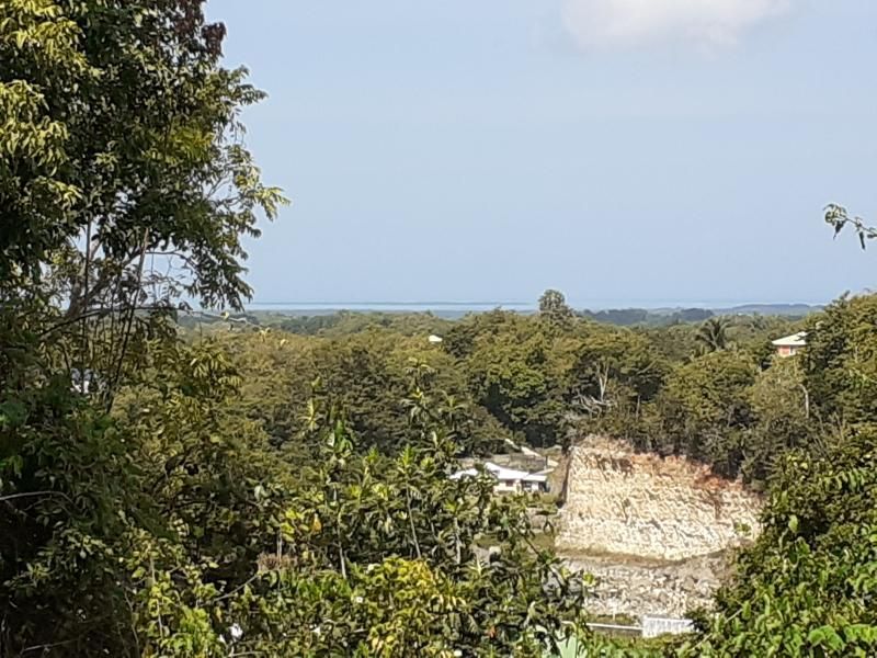 Photo 2 — Les Abymes, Guadeloupe (97142)