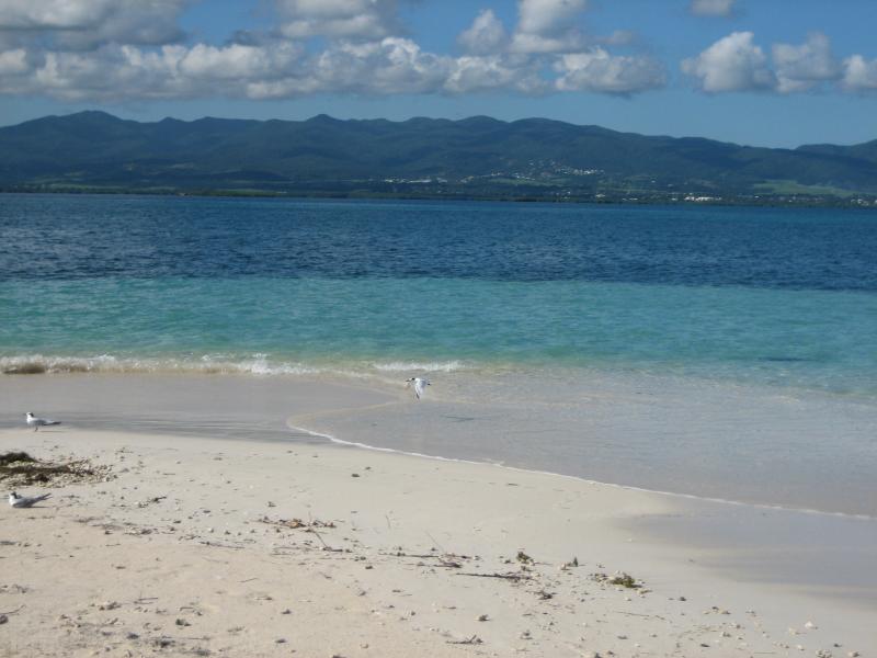 Sainte-Rose