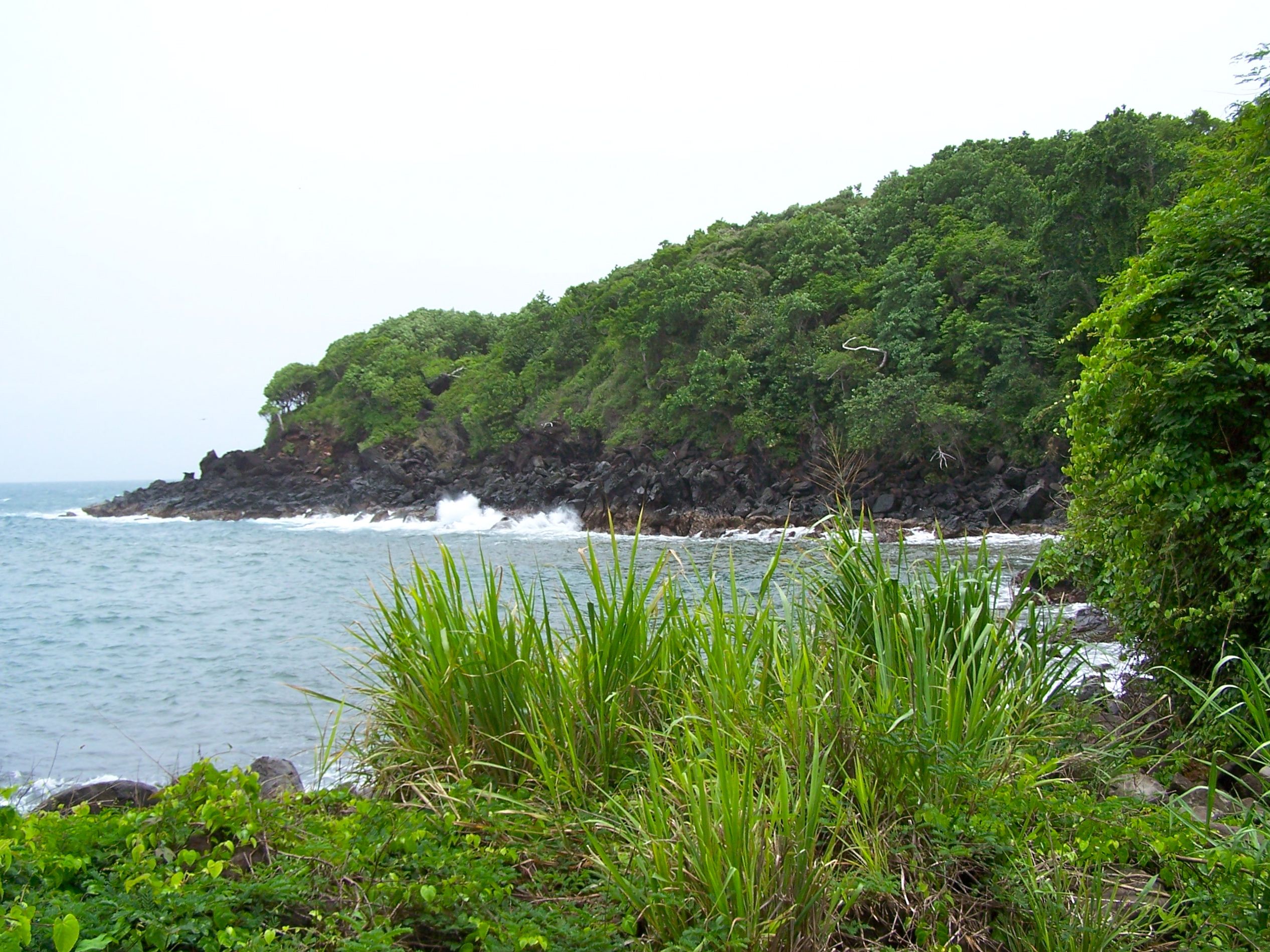 Photo 4 — Trois-Rivières, Guadeloupe (97114)