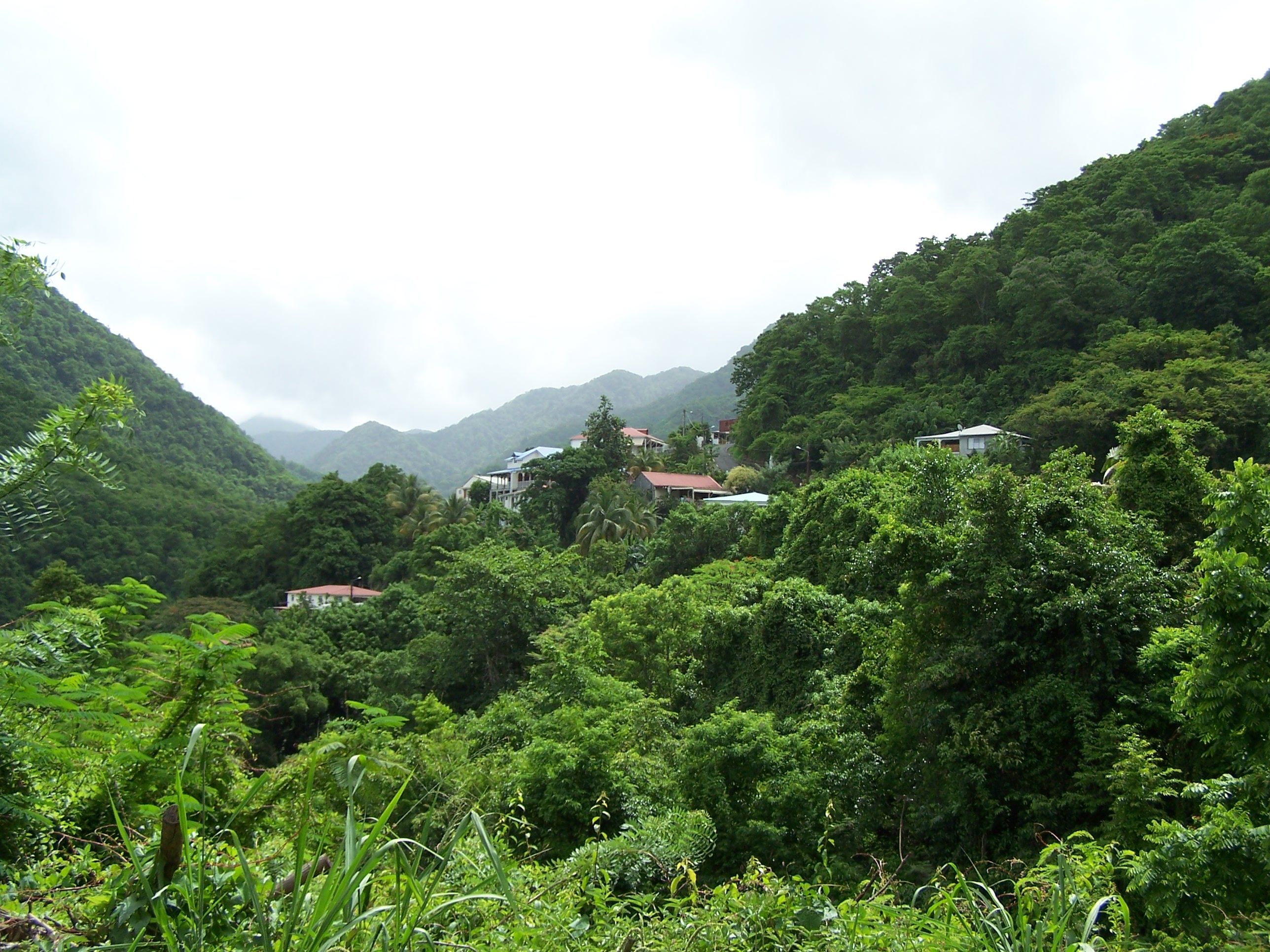 Photo 5 — Vieux-Habitants, Guadeloupe (97119)