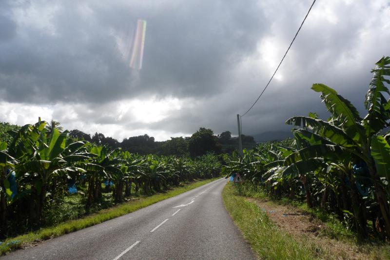 Photo 2 - Le Lorrain, Martinique (97214)