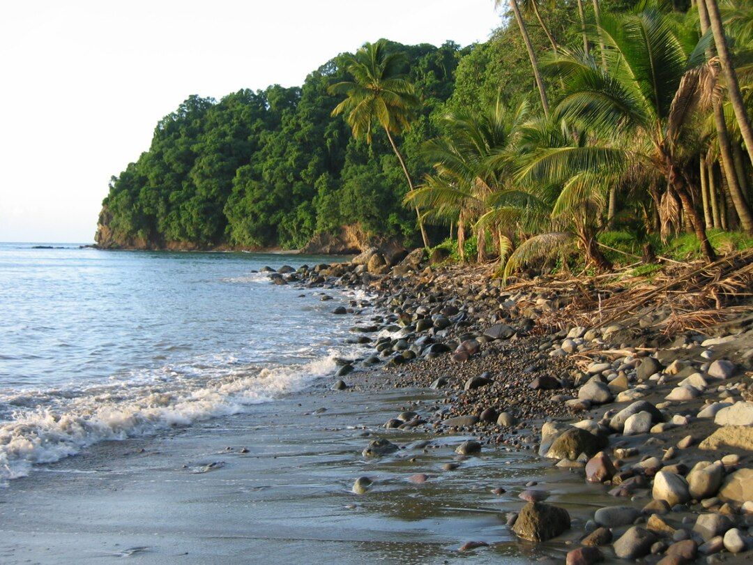 Photo 5 — Rivière-Pilote, Martinique (97211)