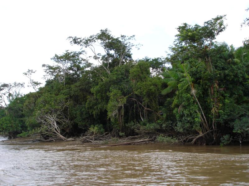 Kourou