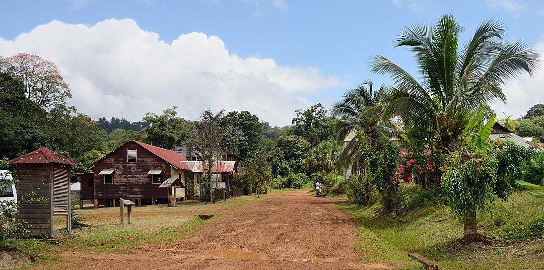 Photo 2 — Saül, Guyane (97314)