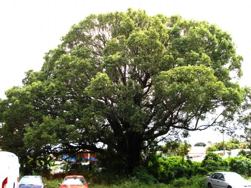 Le Tampon, La Réunion